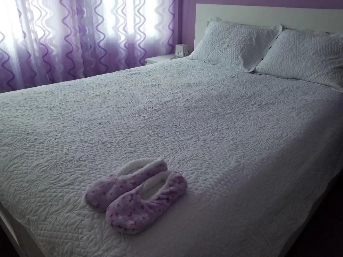 Homestay Maspeth House New York Apartment United States
